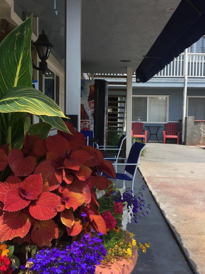The Shores Inn Ventura Dış mekan fotoğraf